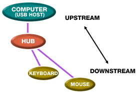 USB network.  Picture courtesy Apple